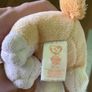 Ty paw patrol skye plush stuffed doll Image 5