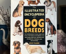 The Illustrated Encyclopaedia of Dog Breeds by Joan Palmer