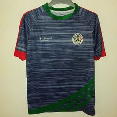 borris kilcotton gaa jersey