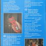 Benning MM4 Multimeter Image 2