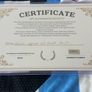 Lionel Messi Signed Argentina Qatar 2022 World Cup Final Winners Shirt Plus COA Image 10