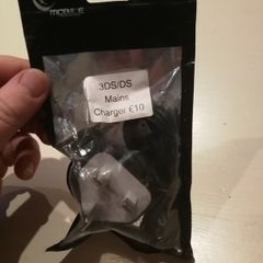 3DS/DS Mains Charger