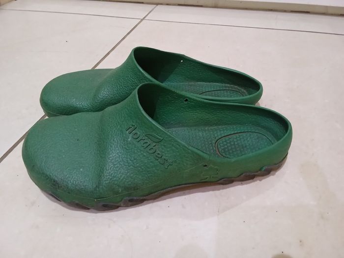 Clogs