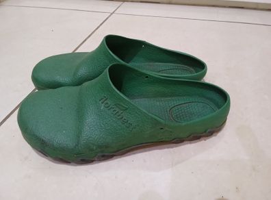 Clogs