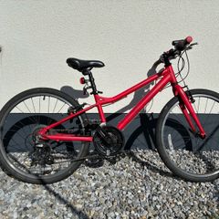 Carrera kids junior bike