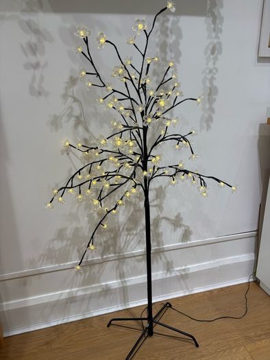 Illuminated tree.