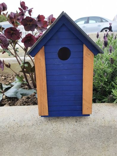 bird box