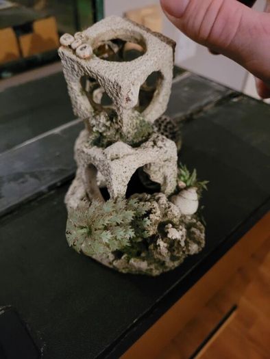 tank ornament
