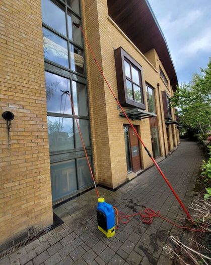 Professional windows cleaning Kit