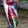 Cows  Bull's Horn Image 3