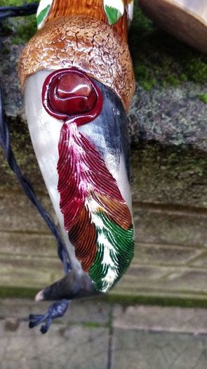 Cows  Bull's Horn