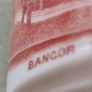 W.h.goss Old Milk Jug Souvenir From Bangor Cathedral Image 4