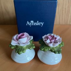 Vintage Aynsley Flower Salt and Pepper Shakers