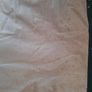 Custom Made Long Botanical Print Pair of Curtains. Image 6
