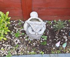 Garden Owl