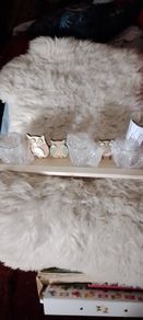 Shabby Chic