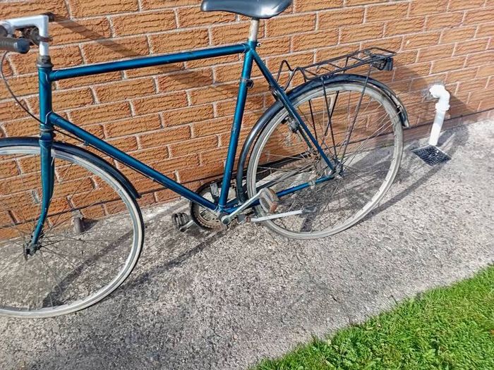 adults  bike