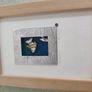 Art Work Small Little Hatchet Fish Framed By  Karen Shannon Image 7