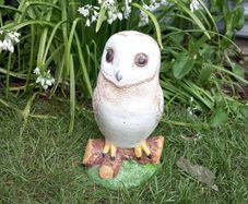 Owl