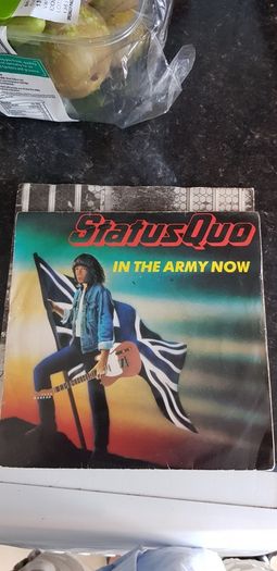 status quo in the army now 7"