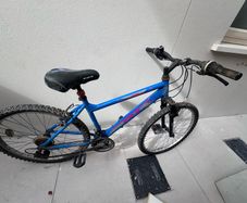 cycle