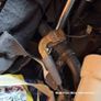 Kids Small Motor Bike for parts or repair Image 6