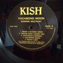 Dominic Mulvany - Vagabond Moon (Rare Vinyl LP) Image 3