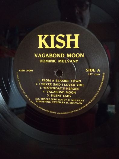 Dominic Mulvany - Vagabond Moon (Rare Vinyl LP)