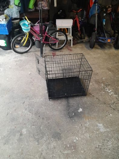 dog cage