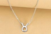 Taurus Zodiac Necklace Celestial &amp; Personal Charm