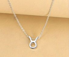 Taurus Zodiac Necklace Celestial & Personal Charm