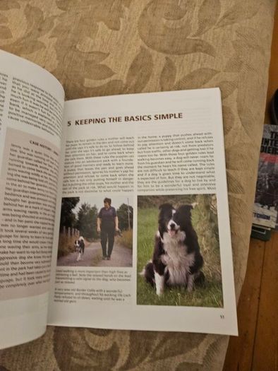 Training Border Collies. By Barbara Sykes's Large Volume Paperback In Good Condition.  See Photos For Same.