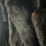fur coat genuine real mink fur Germany bought Image 3