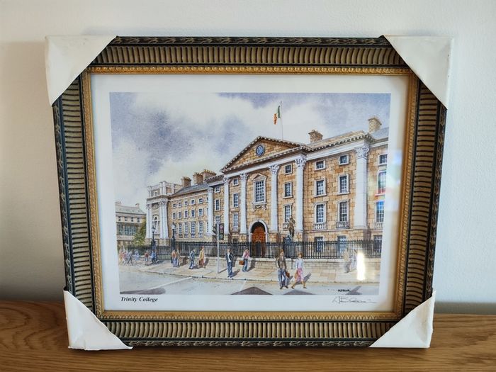 New framed Modern Picture Trinity college Dublin Ireland