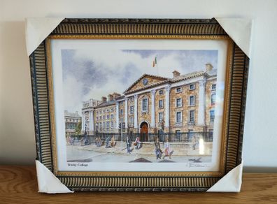 New framed Modern Picture Trinity college Dublin Ireland