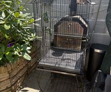 bird cage