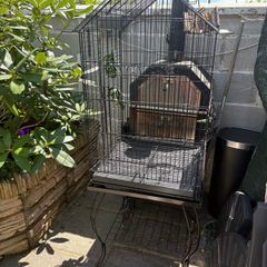 bird cage
