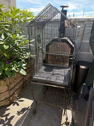 bird cage