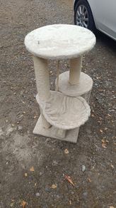 Kitten cat Tree