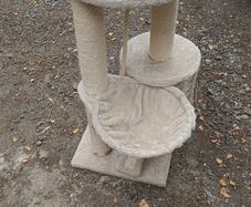 Kitten cat Tree
