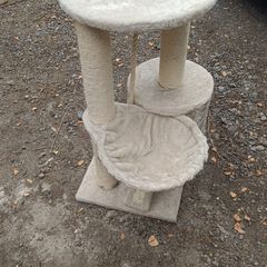 Kitten cat Tree