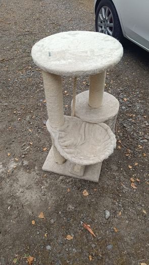 Kitten cat Tree
