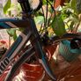Used Lombardo Monza 3.0 road bike (2014) - needs work Image 5
