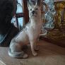 Vintage German Shepherd figure. Image 2