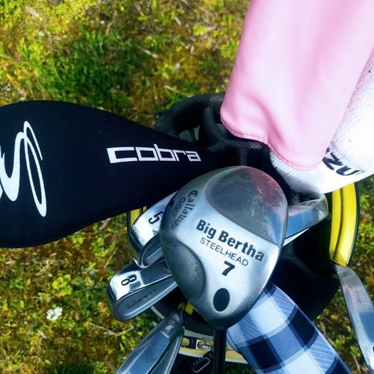 Set of Ladies Golf Clubs