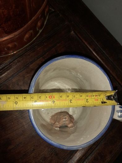 Antique Frog Surprise Mug