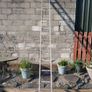 Ladder Image 4