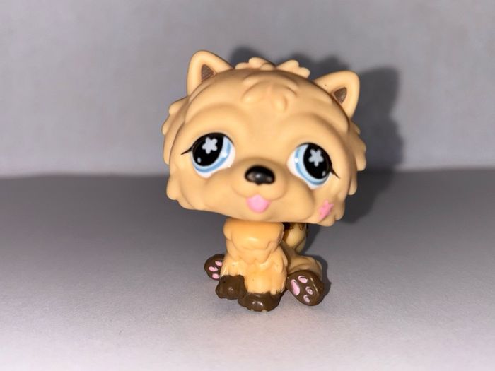 littlest pet shop (LPS) Chow chow bundle!