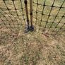 chicken fencing Image 6