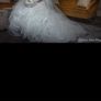 Designer Wedding Dress Image 2